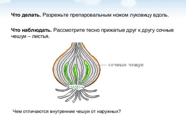 Кракен тг ссылка