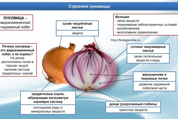 Что такое кракен только через тор
