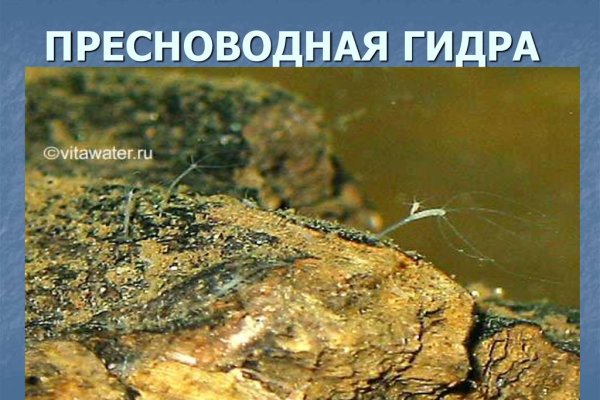 Mega market ссылка