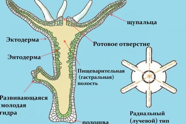 Что такое маркетплейс курительный