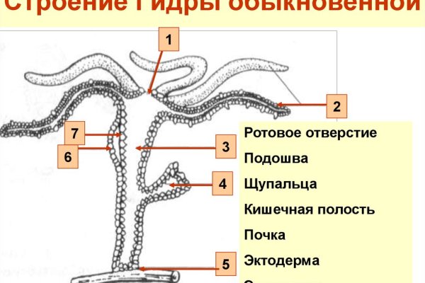 Krn 2at
