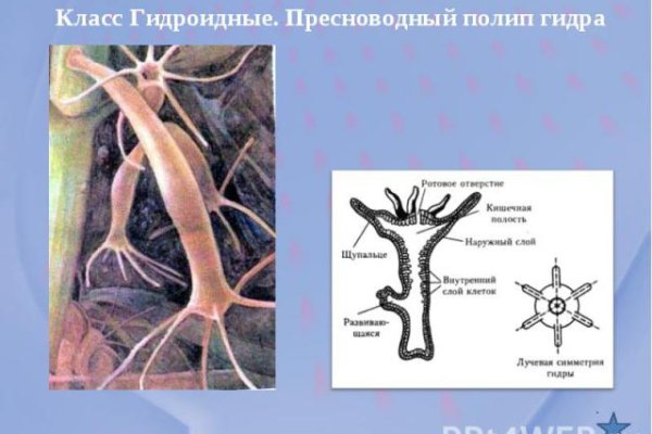 Кракен маркетплейс в питере
