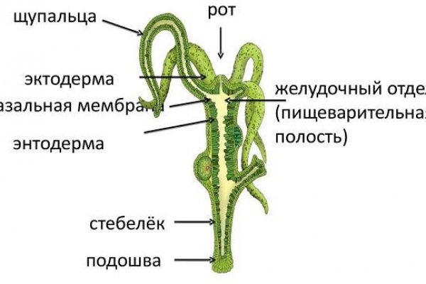 Зайти на кракен без тора