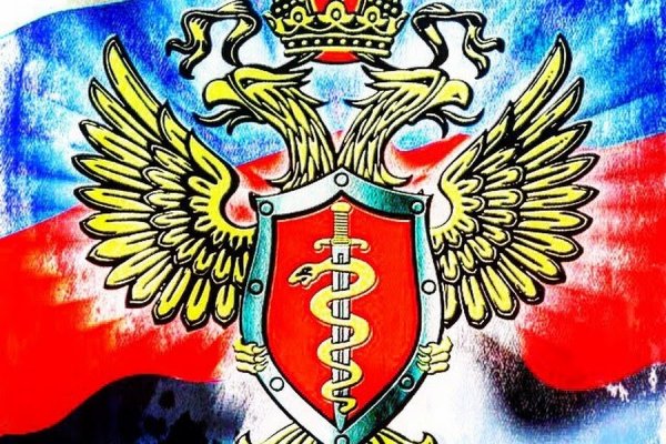 Solaris даркнет