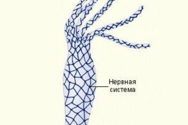 Ссылка в магазин на кракен