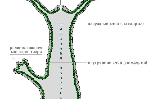 Кракен офф сайт