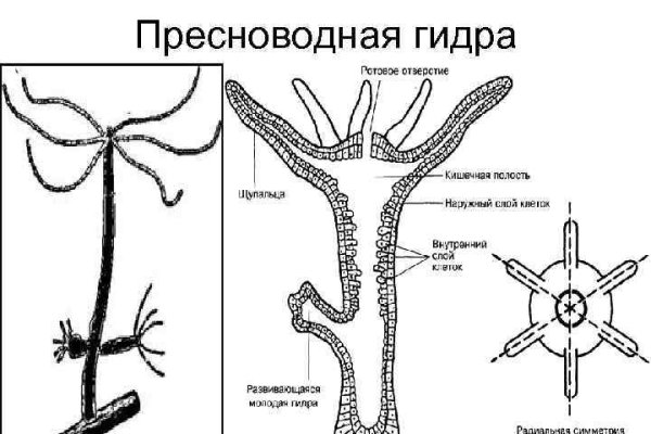 Clear ссылка на кракен