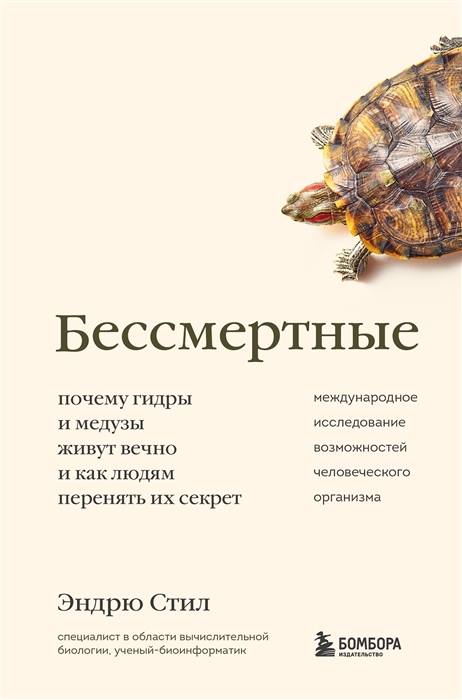 Что такое маркетплейс в россии