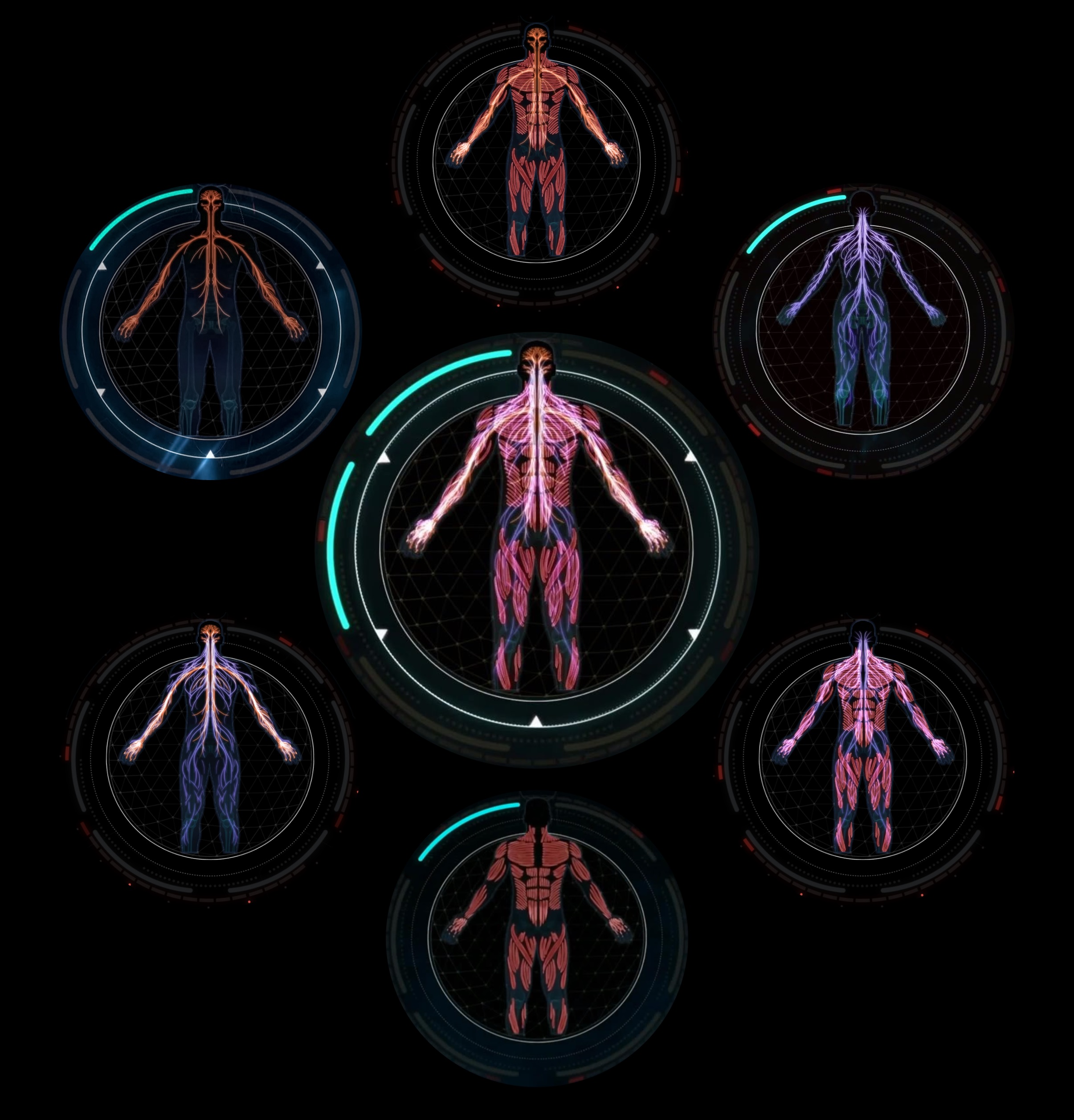 Kraken online
